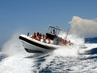 Powerboat Tour